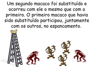 Um segundo macaco foi substituído e ocorreu com ele o mesmo que com o primeiro. O primeiro macaco que havia sido substituído participou, juntamente com os outros, no espancamento.  