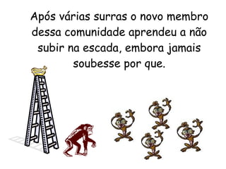 Após várias surras o novo membro dessa comunidade aprendeu a não subir na escada, embora jamais soubesse por que. 