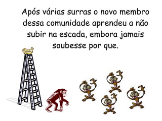 Após várias surras o novo membro dessa comunidade aprendeu a não subir na escada, embora jamais soubesse por que. 