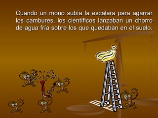 Cuando un mono subía la escalera para agarrar
los cambures, los científicos lanzaban un chorro
de agua fría sobre los que quedaban en el suelo.
 
