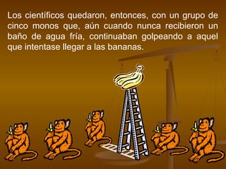Los científicos quedaron, entonces, con un grupo de
cinco monos que, aún cuando nunca recibieron un
baño de agua fría, continuaban golpeando a aquel
que intentase llegar a las bananas.
 