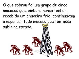 O que sobrou foi um grupo de cinco macacos que, embora nunca tenham recebido um chuveiro frio, continuavam a espancar todo macaco que tentasse subir na escada. 