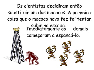 Os cientistas decidiram então substituir um dos macacos. A primeira coisa que o macaco novo fez foi tentar subir na escada.  Imediatamente os  demais começaram a espancá-lo. 