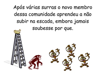 Após várias surras o novo membro dessa comunidade aprendeu a não subir na escada, embora jamais soubesse por que. 
