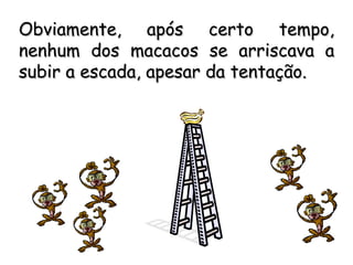 Obviamente, após certo tempo,
nenhum dos macacos se arriscava a
subir a escada, apesar da tentação.
 