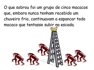 O que sobrou foi um grupo de cinco macacos que, embora nunca tenham recebido um chuveiro frio, continuavam a espancar todo macaco que tentasse subir na escada. 