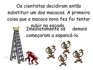 Os cientistas decidiram então substituir um dos macacos. A primeira coisa que o macaco novo fez foi tentar subir na escada.  Imediatamente os  demais começaram a espancá-lo. 