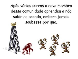 Após várias surras o novo membro dessa comunidade aprendeu a não subir na escada, embora jamais soubesse por que. 
