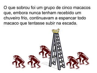 O que sobrou foi um grupo de cinco macacos
que, embora nunca tenham recebido um
chuveiro frio, continuavam a espancar todo
macaco que tentasse subir na escada.
 