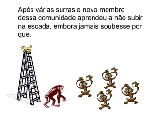 Após várias surras o novo membro
dessa comunidade aprendeu a não subir
na escada, embora jamais soubesse por
que.
 