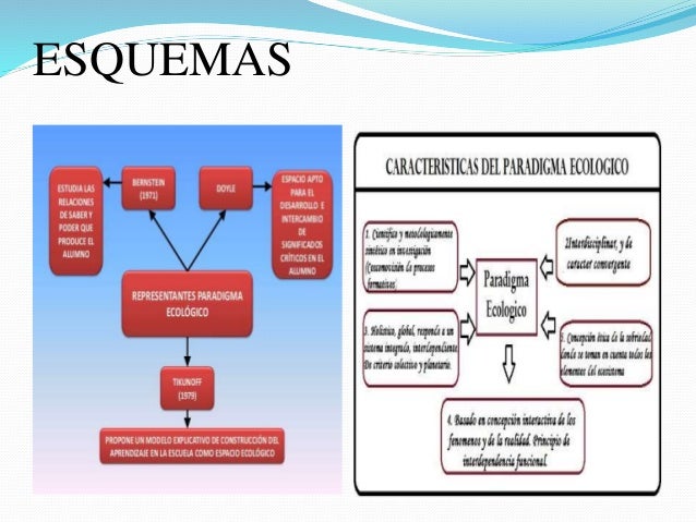 PARADIGMA ECOLÓGICO