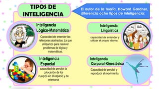 TIPOS DE
INTELIGENCIA
El autor de la teoría, Howard Gardner,
diferencia ocho tipos de inteligencia:
Inteligencia
Lógico-Matemática
Capacidad de entender las
relaciones abstractas. La que
utilizamos para resolver
problemas de lógica y
matemáticas.
Inteligencia
Lingüística
capacidad de entender y
utilizar el propio idioma.
Inteligencia
Espacial
capacidad de percibir la
colocación de los
cuerpos en el espacio y de
orientarse
Inteligencia
Corporal-Kinestésica
Capacidad de percibir y
reproducir el movimiento.
 