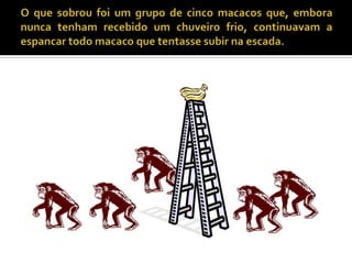 O que sobrou foi um grupo de cinco macacos que, embora nunca tenham recebido um chuveiro frio, continuavam a espancar todo macaco que tentasse subir na escada. 