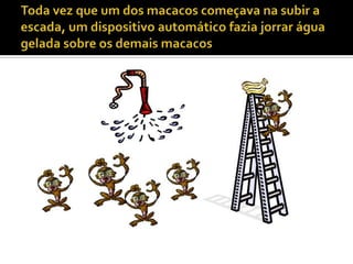 Toda vez que um dos macacos começava na subir a escada, um dispositivo automático fazia jorrar água gelada sobre os demais macacos