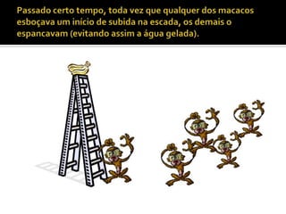 Passado certo tempo, toda vez que qualquer dos macacos esboçava um início de subida na escada, os demais o espancavam (evitando assim a água gelada).