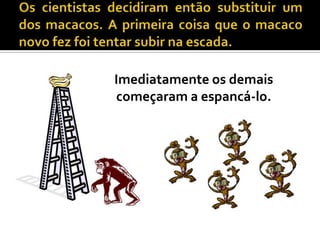 Os cientistas decidiram então substituir um dos macacos. A primeira coisa que o macaco novo fez foi tentar subir na escada. Imediatamente os demais começaram a espancá-lo. 