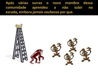 Após várias surras o novo membro dessa comunidade aprendeu a não subir na escada, embora jamais soubesse por que.