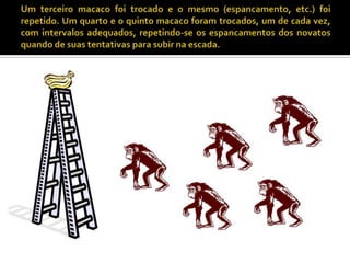 Um terceiro macaco foi trocado e o mesmo (espancamento, etc.) foi repetido. Um quarto e o quinto macaco foram trocados, um de cada vez, com intervalos adequados, repetindo-se os espancamentos dos novatos quando de suas tentativas para subir na escada. 
