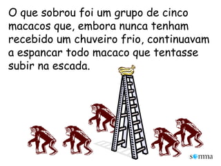 O que sobrou foi um grupo de cinco macacos que, embora nunca tenham recebido um chuveiro frio, continuavam a espancar todo macaco que tentasse subir na escada.
