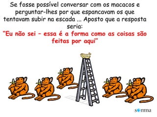 Se fosse possível conversar com os macacos e perguntar-lhes por que espancavam os que tentavam subir na escada ... Aposto que a resposta seria:“Eu não sei – essa é a forma como as coisas são feitas por aqui”