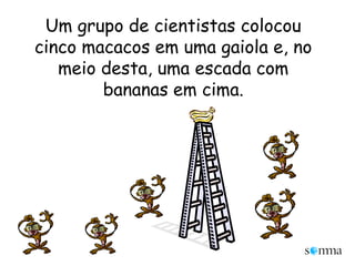 Um grupo de cientistas colocou cinco macacos em uma gaiola e, no meio desta, uma escada com bananas em cima. 