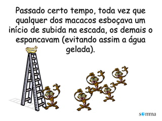 Passado certo tempo, toda vez que qualquer dos macacos esboçava um início de subida na escada, os demais o espancavam (evitando assim a água gelada).
