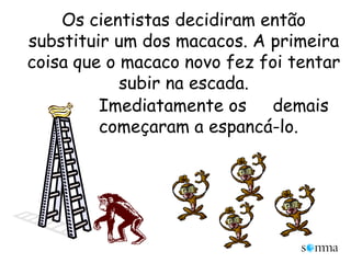 Os cientistas decidiram então substituir um dos macacos. A primeira coisa que o macaco novo fez foi tentar subir na escada. Imediatamente os     demais começaram a espancá-lo.
