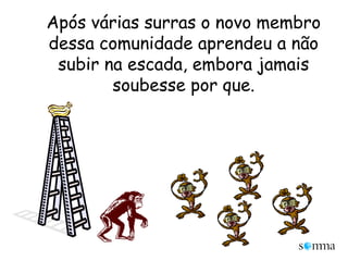 Após várias surras o novo membro dessa comunidade aprendeu a não subir na escada, embora jamais soubesse por que.