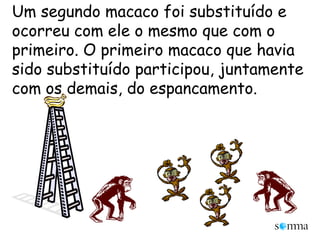 Um segundo macaco foi substituído e ocorreu com ele o mesmo que com o primeiro. O primeiro macaco que havia sido substituído participou, juntamente com os demais, do espancamento. 