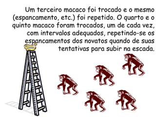 Um terceiro macaco foi trocado e o mesmo (espancamento, etc.) foi repetido. O quarto e o quinto macaco foram trocados, um de cada vez, com intervalos adequados, repetindo-se os espancamentos dos novatos quando de suas tentativas para subir na escada. 