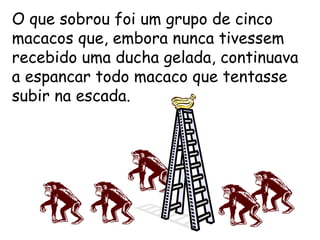 O que sobrou foi um grupo de cinco macacos que, embora nunca tivessem recebido uma ducha gelada, continuava a espancar todo macaco que tentasse subir na escada. 