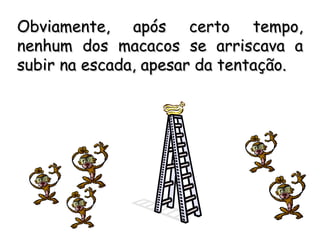 Obviamente, após certo tempo, nenhum dos macacos se arriscava a subir na escada, apesar da tentação. 