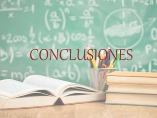 CONCLUSIONES
 