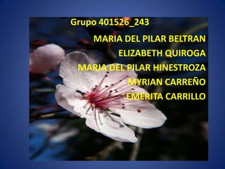 Grupo 401526_243
MARIA DEL PILAR BELTRAN
ELIZABETH QUIROGA
MARIA DEL PILAR HINESTROZA
MYRIAN CARREÑO
EMERITA CARRILLO
 