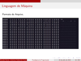 Linguagem de Máquina
Formato do Arquivo.
Ronaldo Ramos (Instituto Federal do Ceará) Paradigmas de Programação 24 de julho de 2023 10 / 205
 