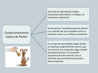 Condicionamiento
clásico de Pavlov
Este tipo de aprendizaje implica
respuestas automáticas o reflejas, no
conductas voluntarias
Es un tipo de aprendizaje según donde
un estímulo originalmente neutro, que
no provoca una respuesta, llega a poder
provocarla gracias a la conexión
asociativa de este estímulo con el
estímulo que normalmente provoca
dicha respuesta.
Se denomina "condicionamiento clásico"
a la creación de una conexión entre un
estímulo nuevo y un reflejo ya existente
 
