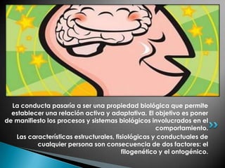La conducta pasaría a ser una propiedad biológica que permite
  establecer una relación activa y adaptativa. El objetivo es poner
de manifiesto los procesos y sistemas biológicos involucrados en el
                                                     comportamiento.
   Las características estructurales, fisiológicas y conductuales de
          cualquier persona son consecuencia de dos factores: el
                                         filogenético y el ontogénico.
 