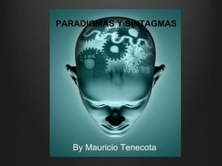 PARADIGMAS Y SINTAGMAS
By Mauricio Tenecota
 