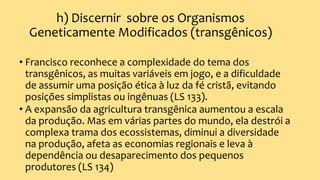 h) Discernir sobre os Organismos
Geneticamente Modificados (transgênicos)
• Francisco reconhece a complexidade do tema dos
transgênicos, as muitas variáveis em jogo, e a dificuldade
de assumir uma posição ética à luz da fé cristã, evitando
posições simplistas ou ingênuas (LS 133).
• A expansão da agricultura transgênica aumentou a escala
da produção. Mas em várias partes do mundo, ela destrói a
complexa trama dos ecossistemas, diminui a diversidade
na produção, afeta as economias regionais e leva à
dependência ou desaparecimento dos pequenos
produtores (LS 134)
 