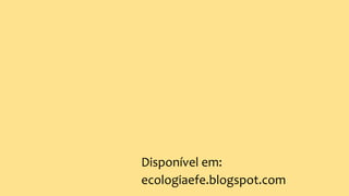 Disponível em:
ecologiaefe.blogspot.com
 