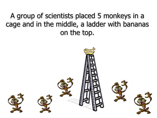 A group of scientists placed 5 monkeys in a cage and in the middle, a ladder with bananas on the top. 