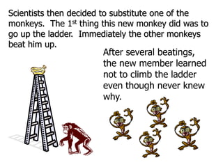 Scientists then decided to substitute one of the
monkeys. The 1st thing this new monkey did was to
go up the ladder. Immediately the other monkeys
beat him up.
After several beatings,
the new member learned
not to climb the ladder
even though never knew
why.
 