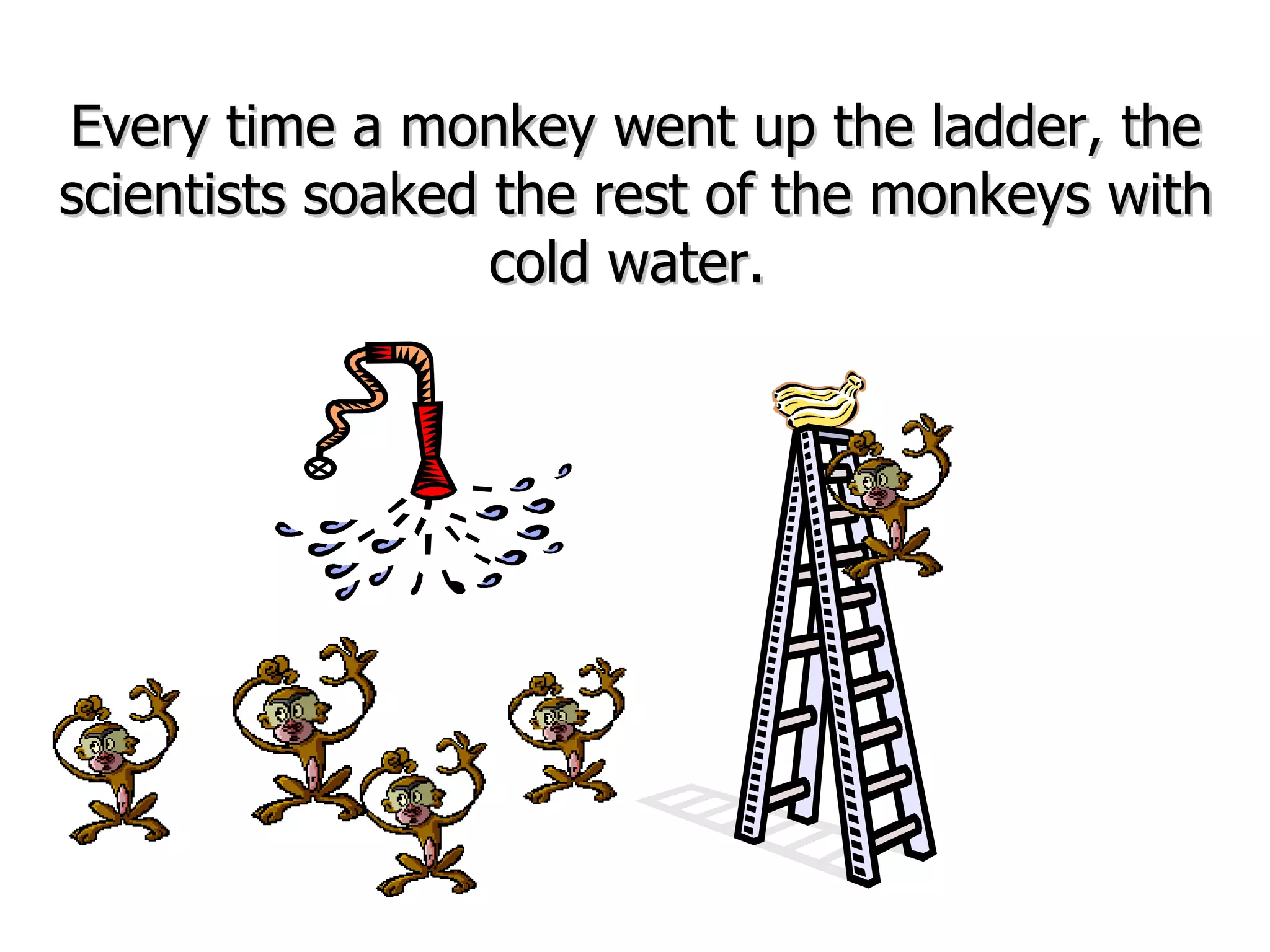 Every time a monkey went up the ladder, the scientists soaked the rest of the monkeys with cold water.  