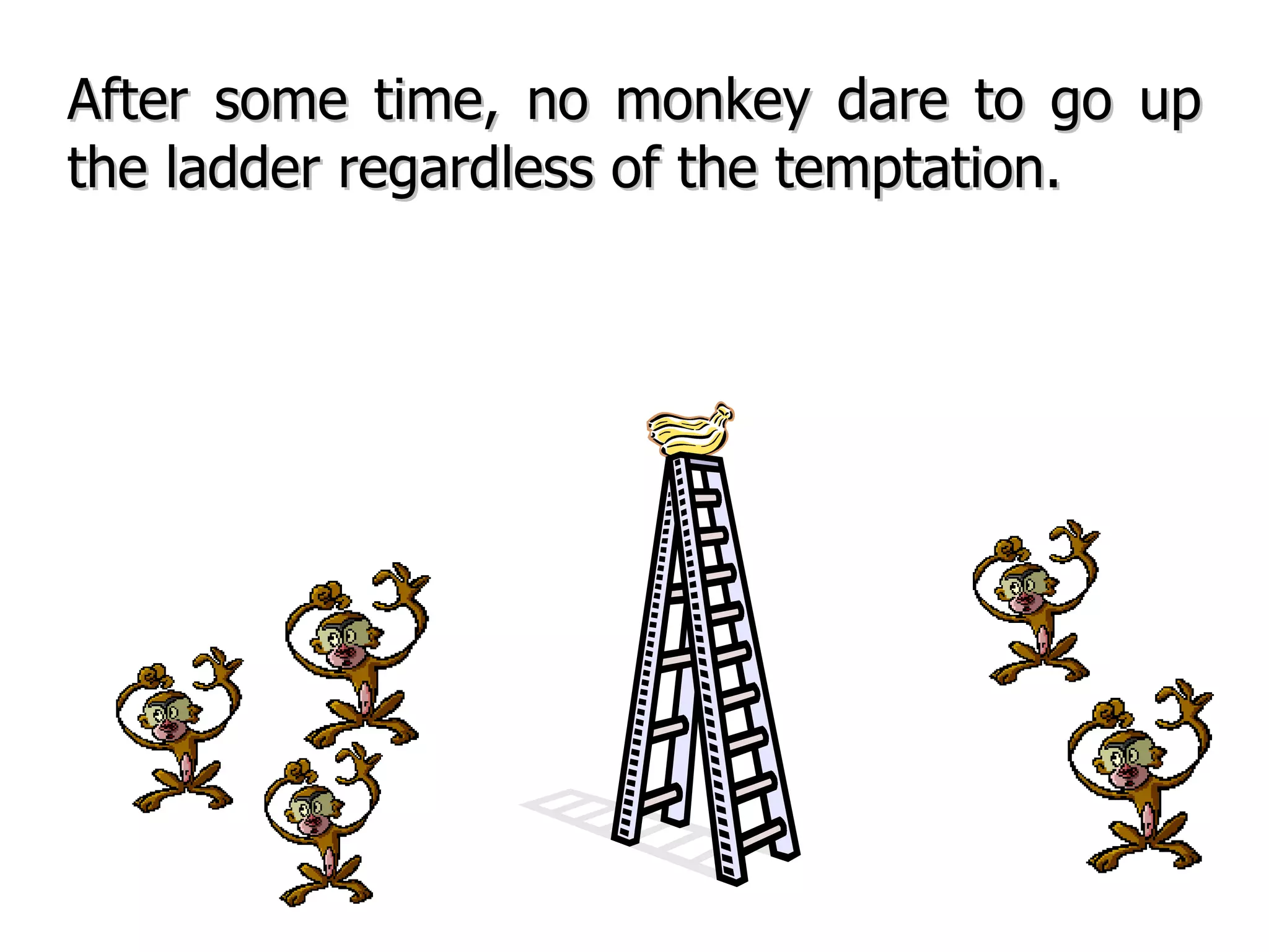 After some time, no monkey dare to go up the ladder regardless of the temptation. 