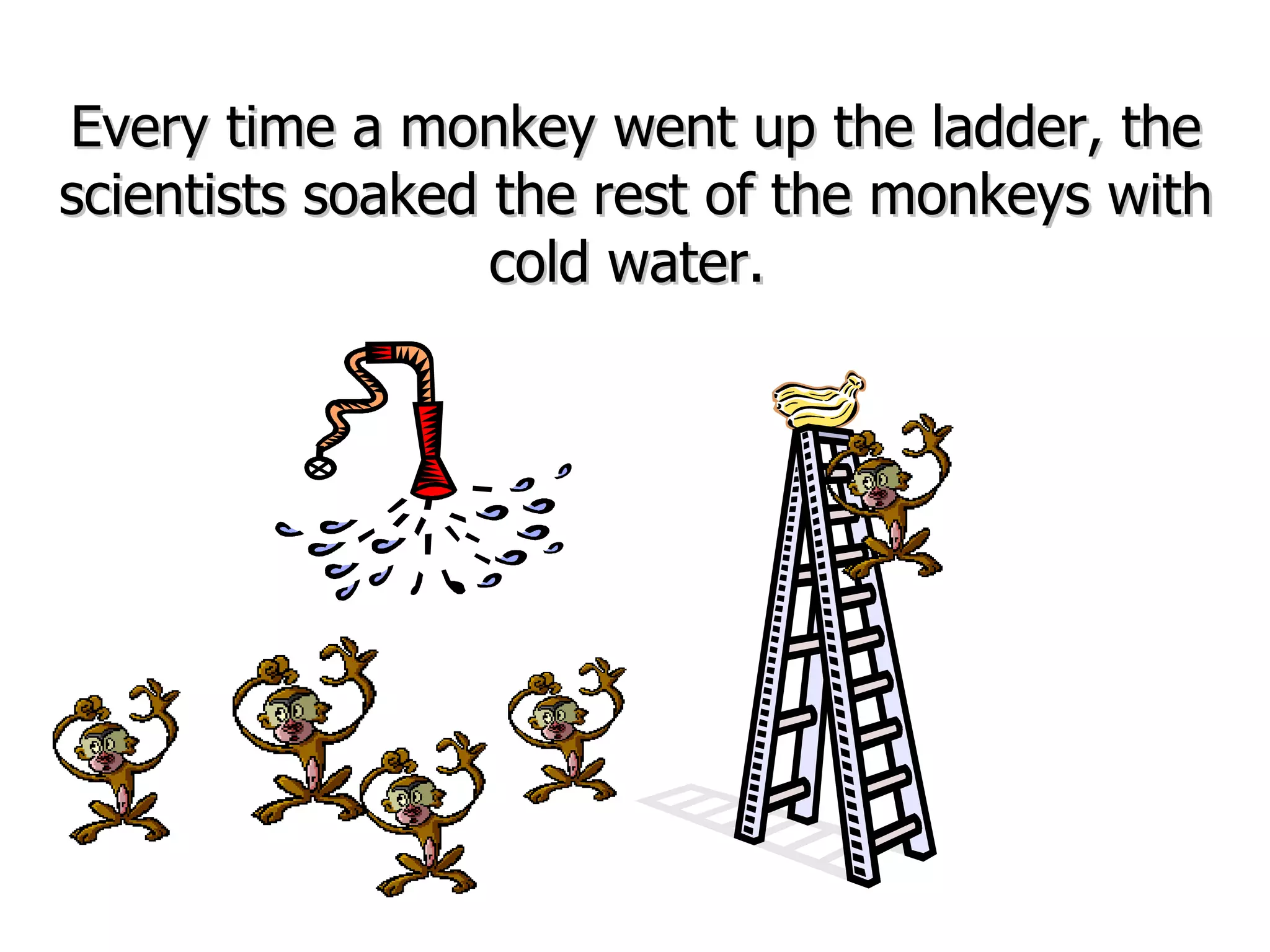 Every time a monkey went up the ladder, the scientists soaked the rest of the monkeys with cold water.  