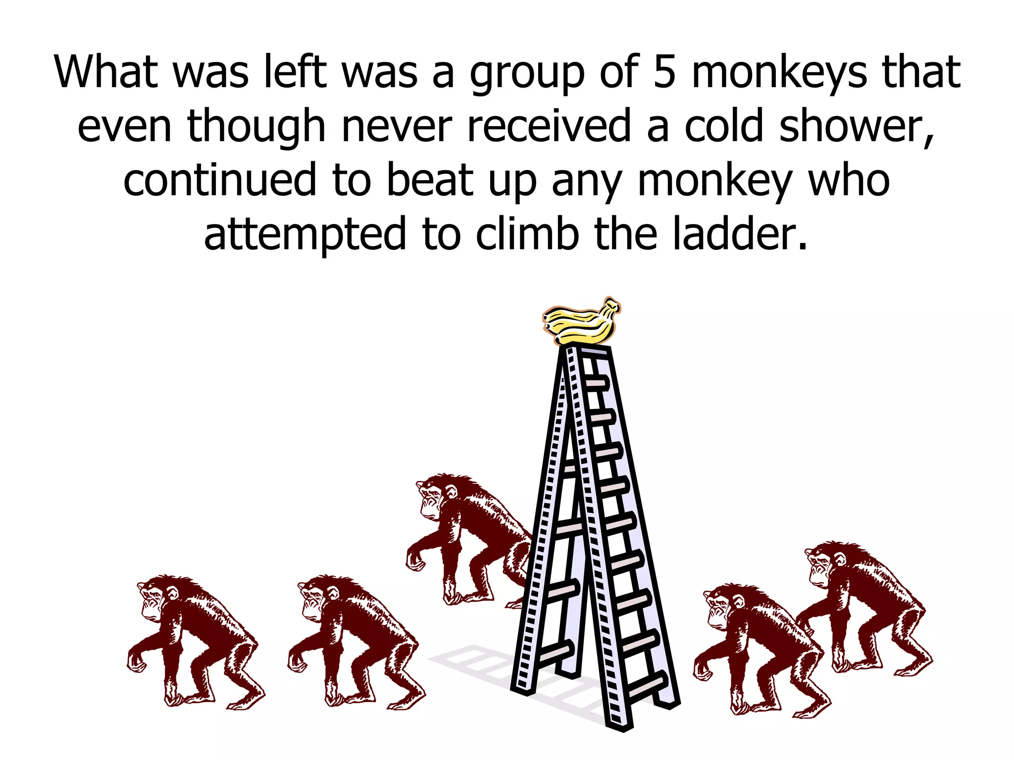 What was left was a group of 5 monkeys that even though never received a cold shower, continued to beat up any monkey who attempted to climb the ladder. 