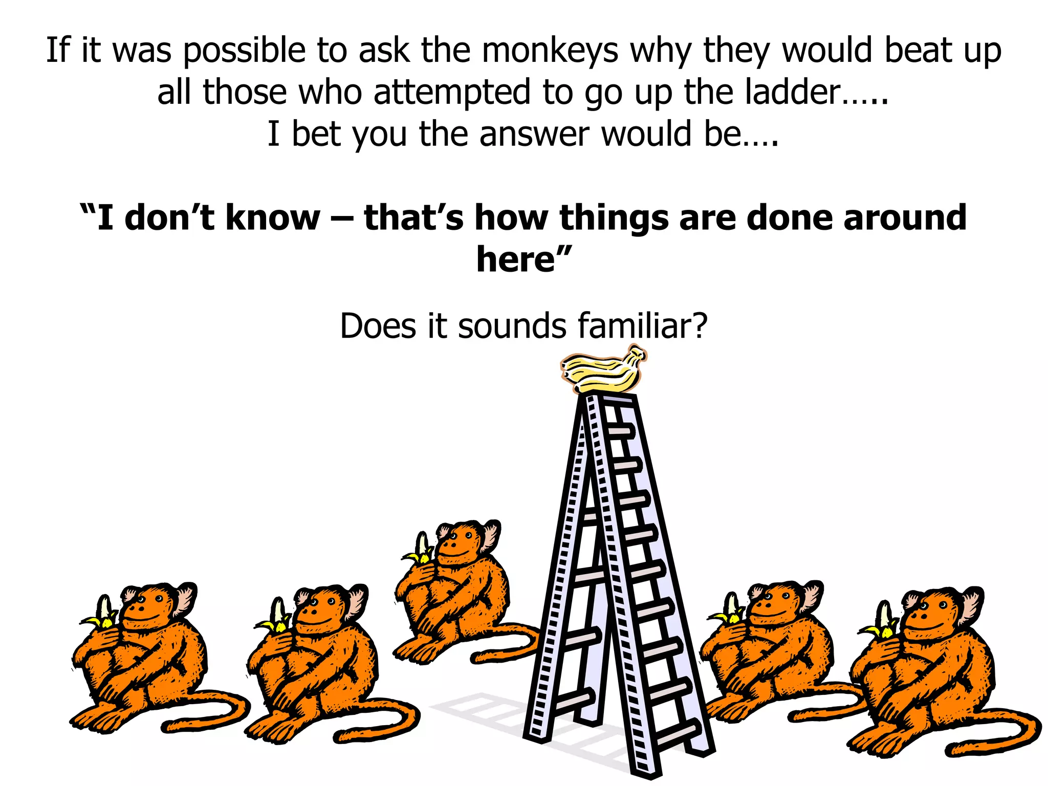 If it was possible to ask the monkeys why they would beat up all those who attempted to go up the ladder….. I bet you the answer would be…. “ I don’t know – that’s how things are done around here” Does it sounds familiar? 