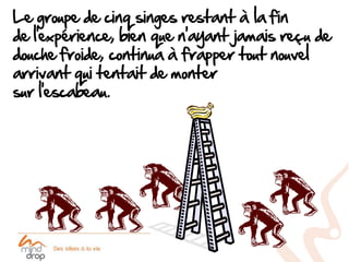 Le groupe de cinq singes restant à la fin
de l’expérience, bien que n’ayant jamais reçu de
douche froide, continua à frapper tout nouvel
arrivant qui tentait de monter
sur l’escabeau.
 