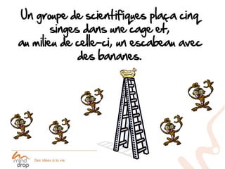 Un groupe de scientifiques plaça cinq
        singes dans une cage et,
au milieu de celle-ci, un escabeau avec
           ...