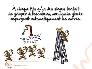À chaque fois qu’un des singes tentait
de grimper à l’escabeau, une douche glacée
 aspergeait automatiquement les autres.
 